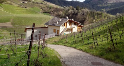 Maso Besleri Apartments im Weinberg mit Küchenhalle und Terrasse für Veranstaltungen