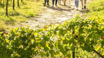 Terrein van de accommodatie