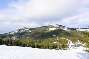 Nicht klassifiziertes Bild, 3 von 45, Schaltfläche