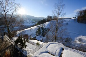 Unclassified image, 4 of 45, button