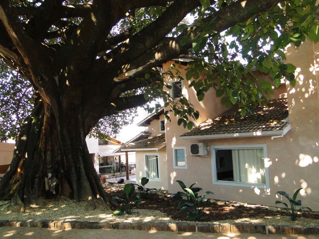 A building with a large tree in front, a tiled roof, and a window with a curtain.