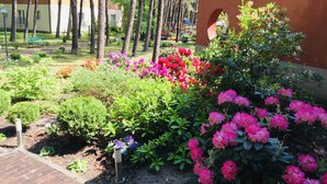 A landscaped garden with various plants and flowers, a brick pathway, and a building with a red wall in the background. - Millennium Spa (Dziwnów)