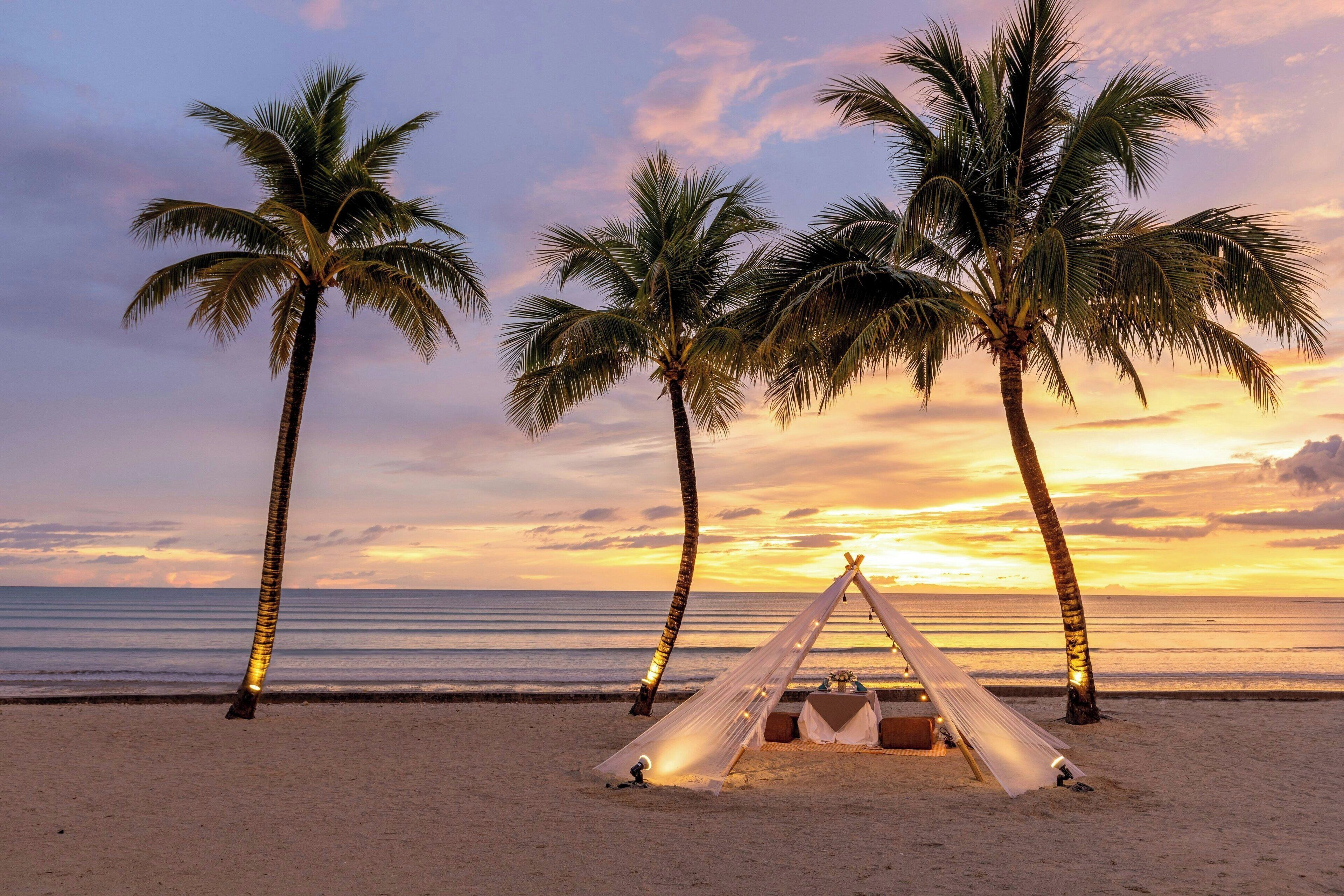 A beach scene with a tent and palm trees.