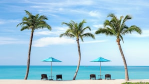 Une vue sur la plage, avec des palmiers, deux parasols bleus et quatre chaises donnant sur l’océan.