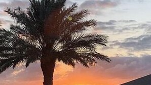 A sunset with a palm tree and a building in the background. - Time Away Book 5+ nights & get 15% discount-Near Lazy River-3BD/2BA. Sleeps 9 (Galveston)