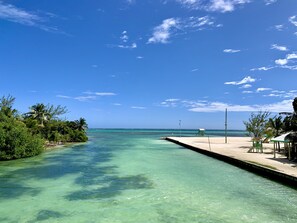 On the beach - Cute Home, Walk to Everything, Beach Walk Out, Diver/Angler Paradise. (San Pedro - Town)
