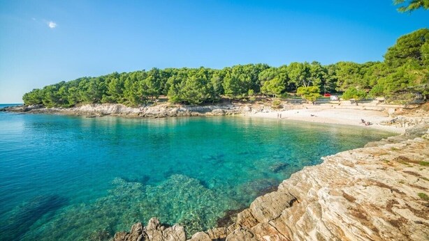 A coastal beach with clear turquoise water, rocky shoreline, and dense green trees. - Amazing luxury apartment 200 m from the beach (Pula)