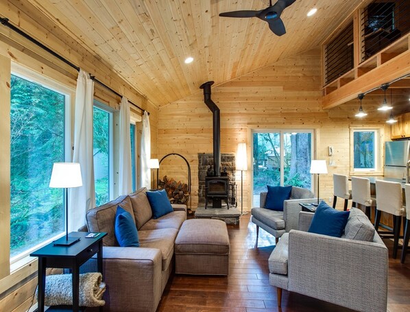 Fireplace, DVD player, computer monitors