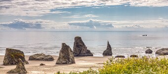 Near Beach Condo w/ Lovely  Ocean Views- Dogs OK