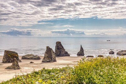 Near Beach Condo w/ Lovely  Ocean Views- Dogs OK