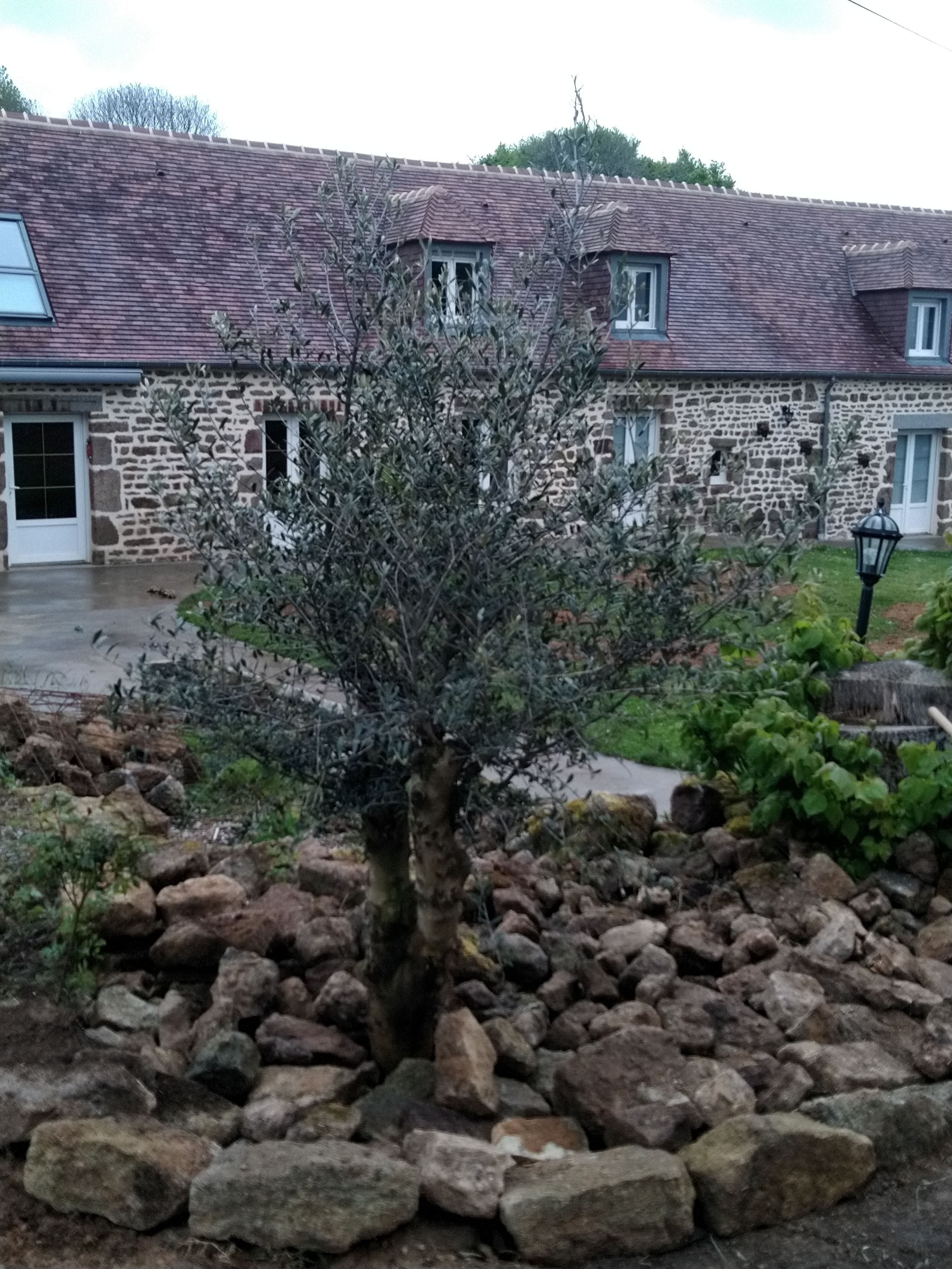 A stone building with a tiled roof, a small tree in the foreground, and a stone pathway leading to the entrance.