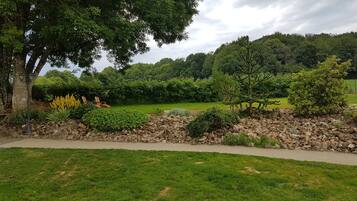 A landscaped garden with a stone wall, various shrubs, and a lawn.