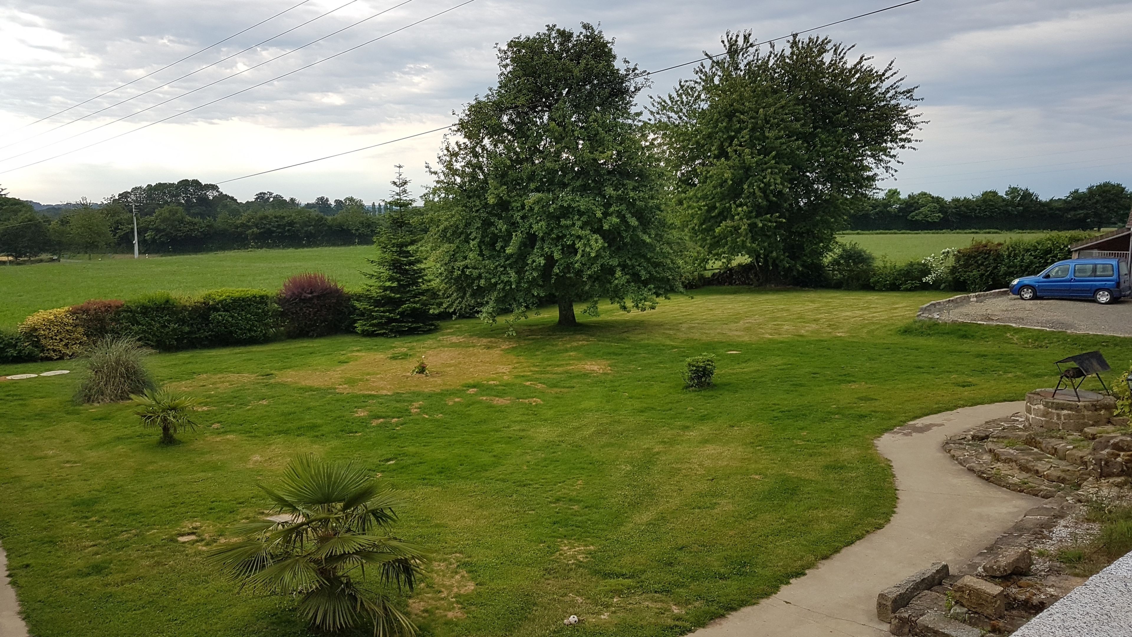 A residential lawn with a pathway leading to a house, surrounded by trees and a blue car parked nearby.