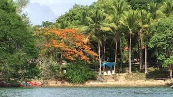 A coastal area with a beach, palm trees, and a variety of vegetation.