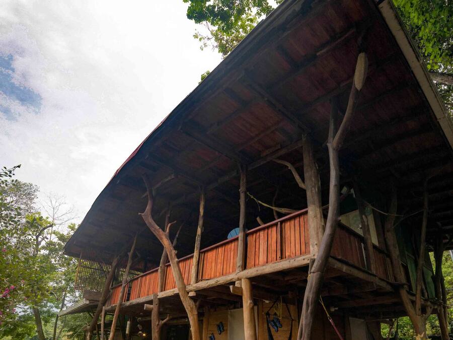 A wooden structure with a sloped roof supported by trees, featuring a deck with seating and a hammock.