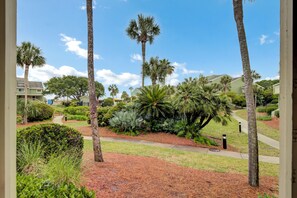 Terrain de l’hébergement 