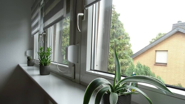 Un davanzale con piante in vaso e vista su una casa.