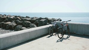 Bicycling - Guesthouse Kod Spavalice (Vir)