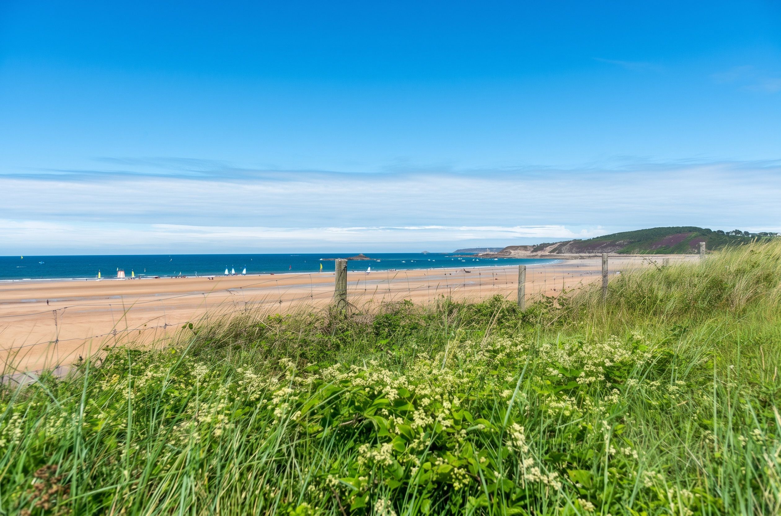 Ein Strand mit blauem Himmel, sandigem Ufer und einer grasbewachsenen Vordergrundfläche.