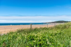 A beach with a clear sky, sandy shore, and grassy foreground.