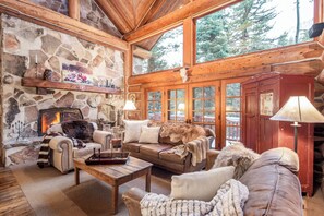 TV, fireplace, books, video library