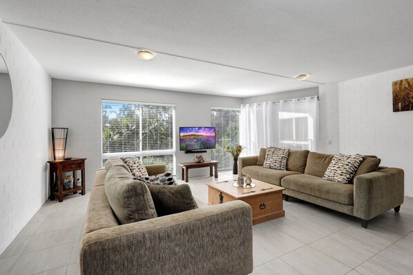 TV, Netflix, streaming services