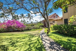 Property grounds - Summer Deal Poipu Condo with Lanai and Resort Pool Access (Koloa)