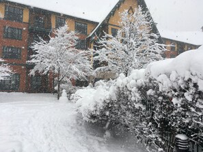 Esterni