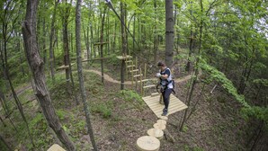 A person navigating a wooden rope bridge in a forested area. - Comfy Studio at the Appalachian building - Mountain Creek Resort, Vernon, NJ (Vernon)