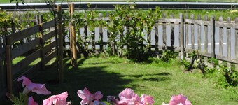 B & B Boszicht Leeuwarden Veranda with a rural view of the adjacent city forest