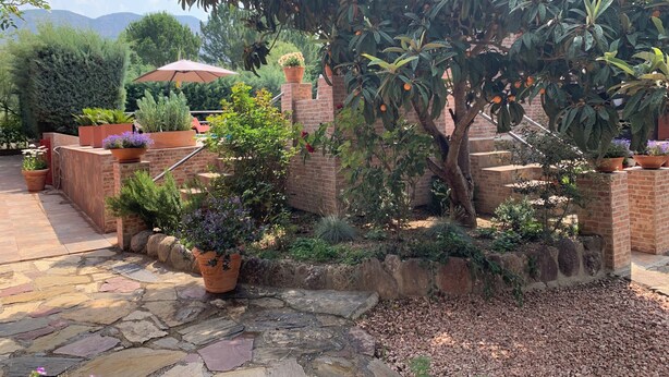 A garden with a stone pathway, potted plants, and a brick wall.