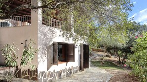 A stone pathway leading to a modern house with a stone facade and wooden shutters.