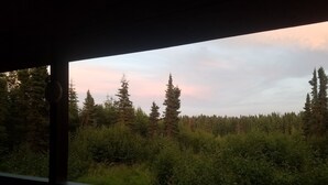 En utsikt från en inglasad veranda med utsikt över en tät skog med höga träd och en molnig himmel.