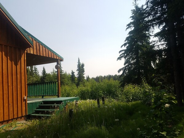 Terrain de l’hébergement