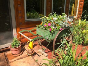 Property grounds - Bed & Breakfast Suite At The Wooded Retreat! (Pine City)
