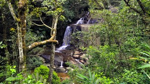 A waterfall surrounded by dense forest. - Wild Glamping (Rangala)
