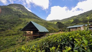 A lodge with a green roof, situated in a lush valley with mountains in the background. - Wild Glamping (Rangala)