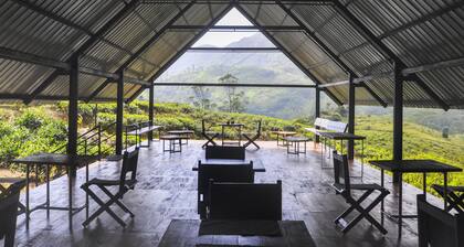 Wild Glamping