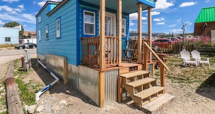 Tiny House Duke: ¡Casa pequeña y espaciosa y colorida para su estadía en Leadville!