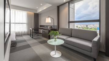 Premium Suite | View from room