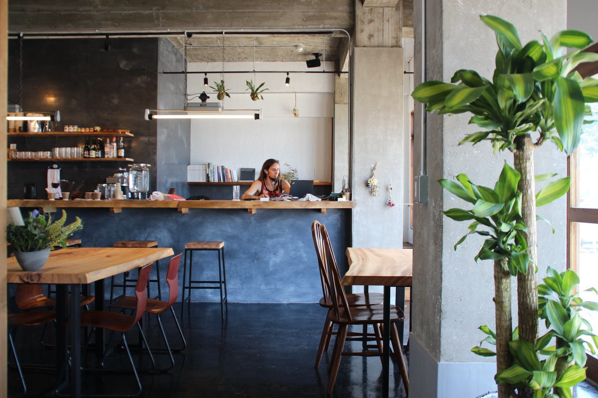 A cafe interior with a bar counter, seating area, and a large potted plant.