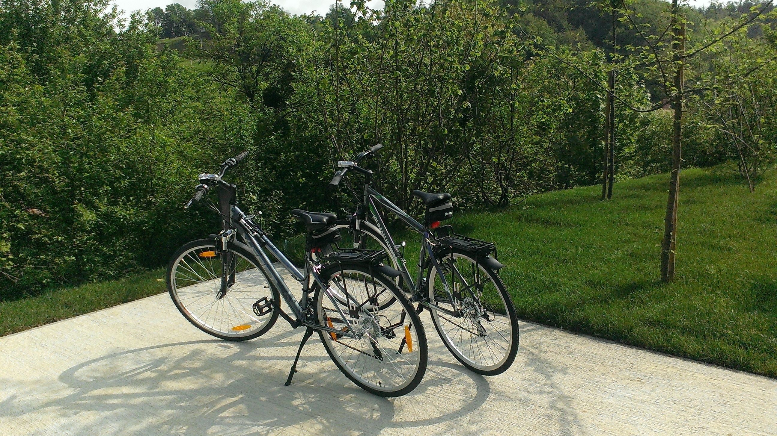 Two bicycles parked on a concrete path with a grassy area and trees in the background.