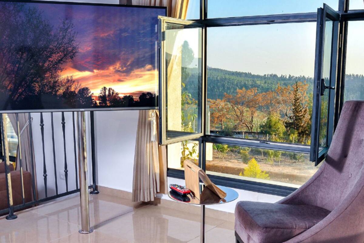 Deluxe Suite | 1 bedroom, desk, WiFi (free), individually decorated