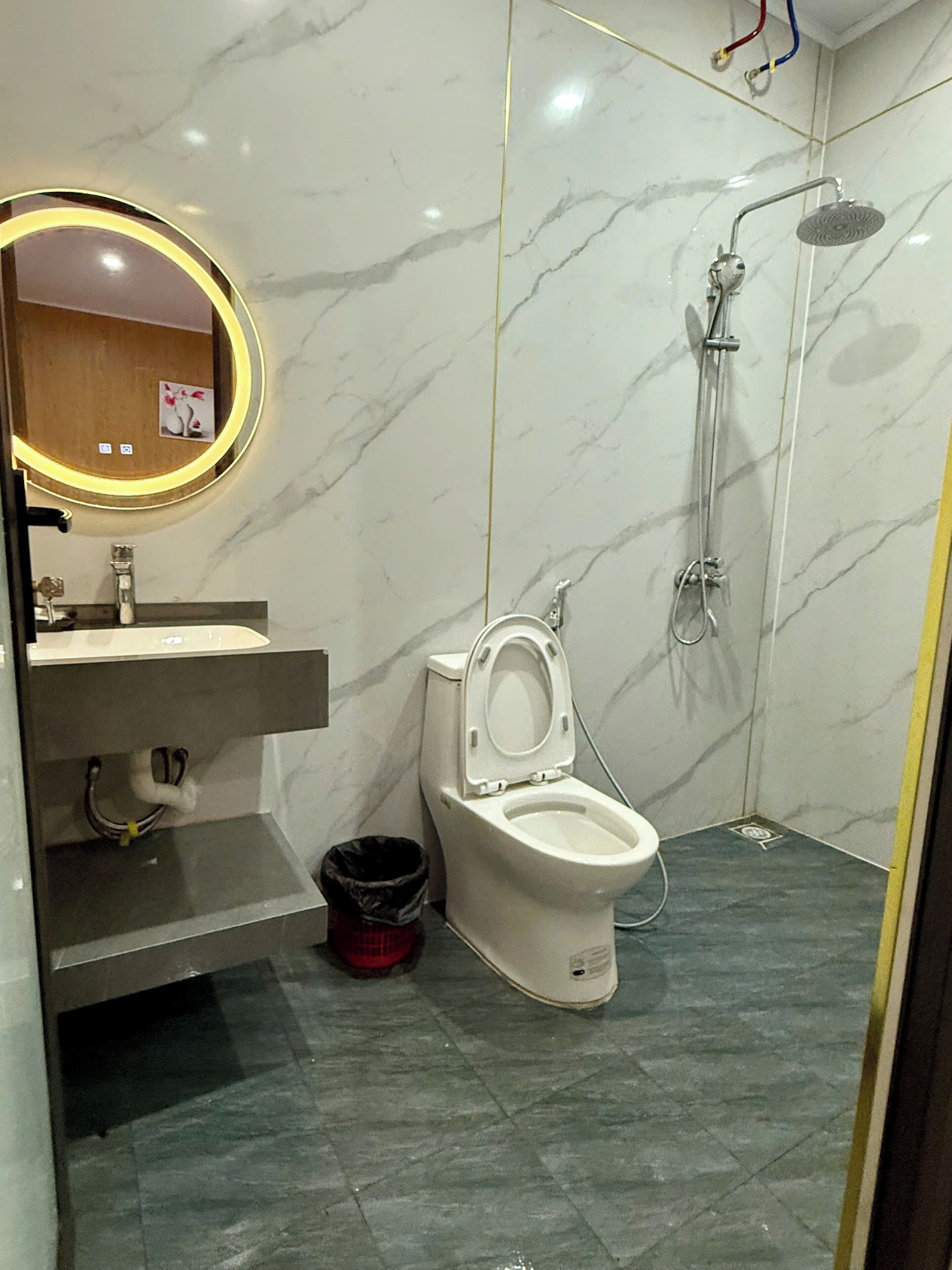 A bathroom with a toilet, a sink, a mirror, and a shower.