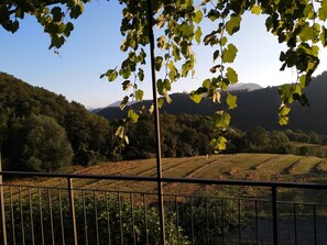 Balcony view