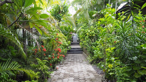 Uma trilha ladeada por vegetação exuberante e uma escadaria de pedra que leva a um edifício.