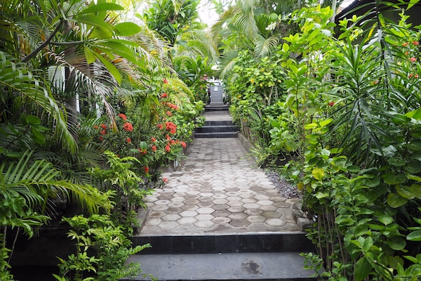 Asrama Umum Standar | Pemandangan taman