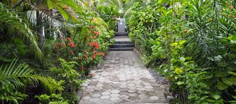 Scuba Tribe Bali dive-resort