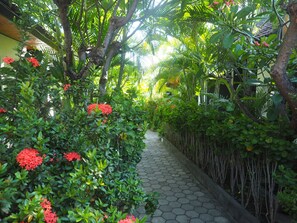 Garden - Scuba Tribe Bali dive-resort (Tulamben)