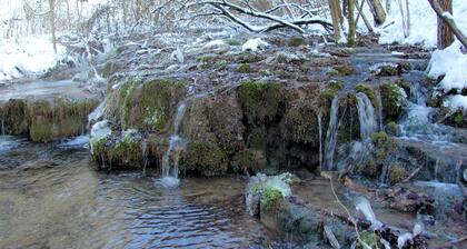 FeWo Die Dittrichs, Deutschland